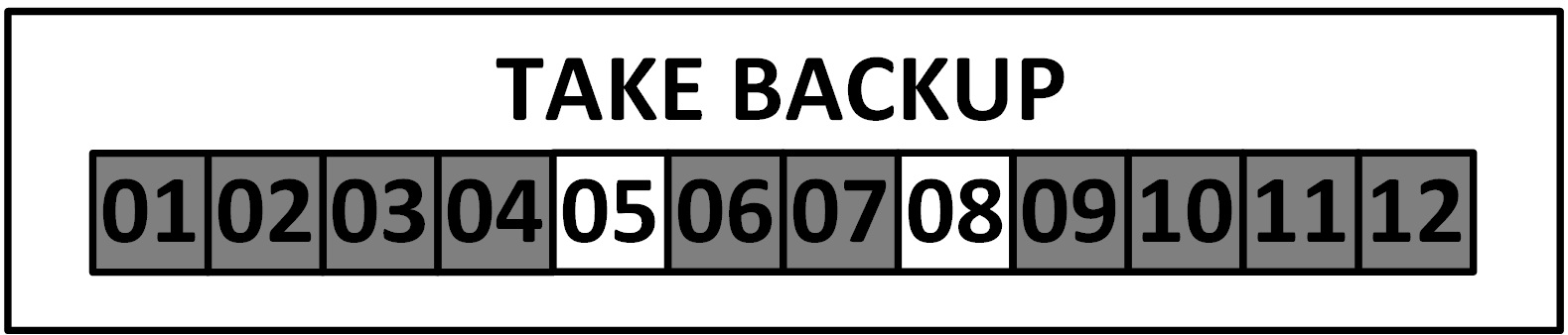 Take Backup Panel.jpg