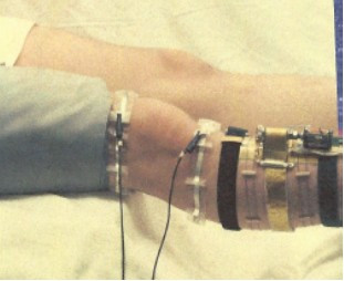 File:Gowen - Figure 005.jpg