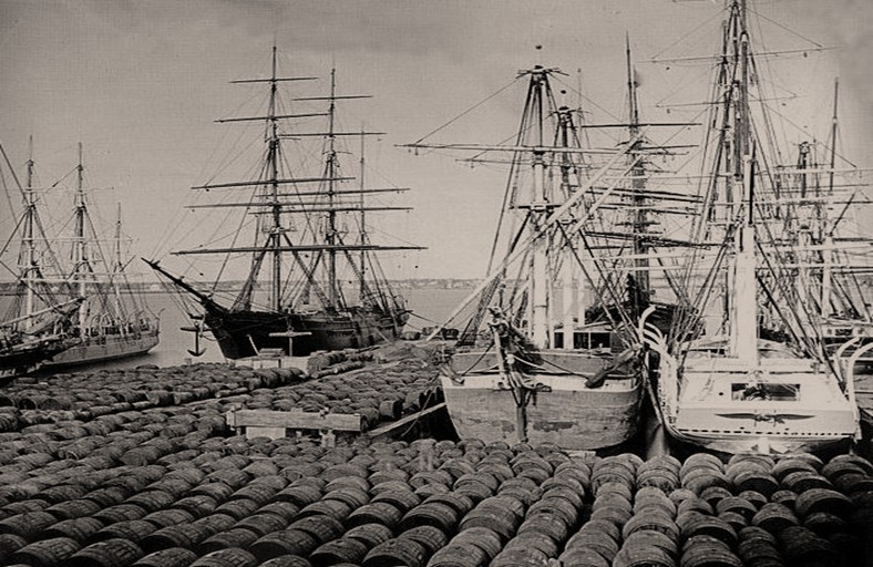 File:Oil tankers - Fig. 3 Barrels on the docks.jpg