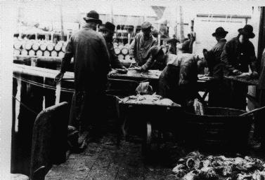 File:Marketing Management Ground Fishing Industry.jpg