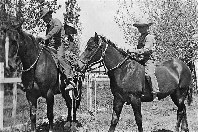 File:Merrill Bio 1-18.jpg