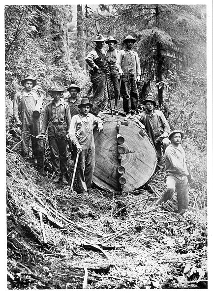 File:Wood Industry SPD soldiers splitting spruce with wedges.jpg