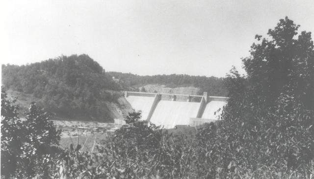 File:Norris dam Trees 1377.jpg