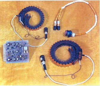 File:Gowen - Figure 022.jpg