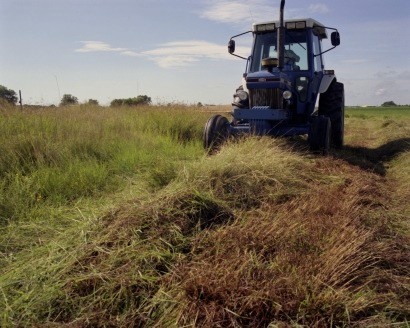 File:Biofuels - Fig. 1 Harvesting of switchgrass.jpg