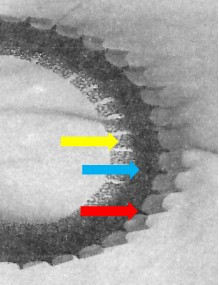 File:Gowen - Figure 006.jpg