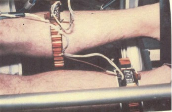 File:Gowen - Figure 008.jpg