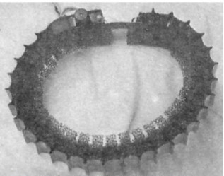 File:Gowen - Figure 009.jpg