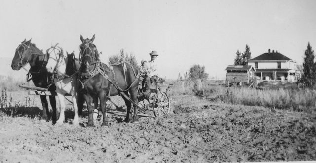 File:Merrill Bio 1-3.jpg