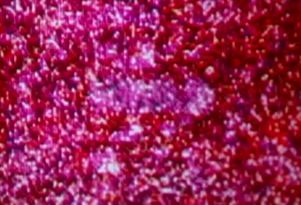 File:Vanderbeek knowlton movies fig 5.jpg