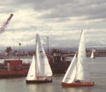 Javelins at Napier, NZ, 1975.