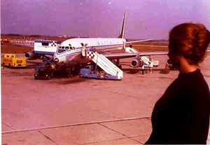 Polverosi - fig 5.jpg