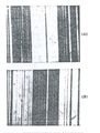 Domain structure of Rochelle salt observed by a polarization microscope. A thin specimen cut perpendicular to the polarization direction (the a axis) is used. Magnification is 50. In neighboring domains there is a small deviation between their optical axes which are perpendicular to the a axis. This deviation causes different extinction positions for neighboring domains. (A) The c axis is rotated a little to left referring to the plane of Nicol prism. (B) Rotated a little to right.